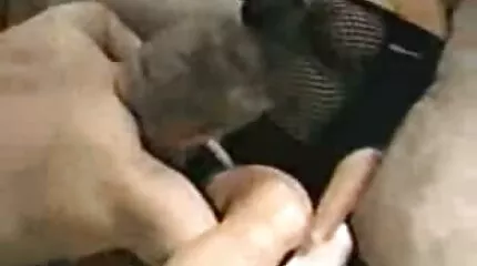 Con riêng tỉnh dậy và coi phim sex nhật choáng váng trước bộ ngực khủng của mẹ kế.